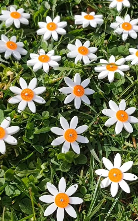 Akaroa Daisy Earrings product photo.