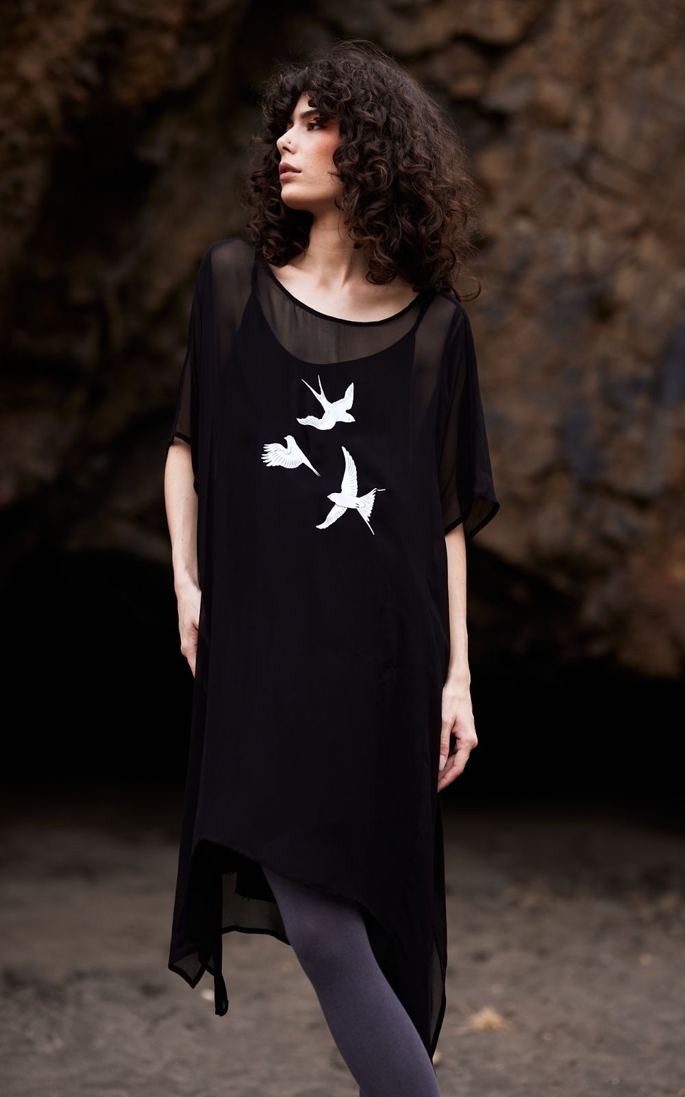 Fallow Swallows Dress product photo.