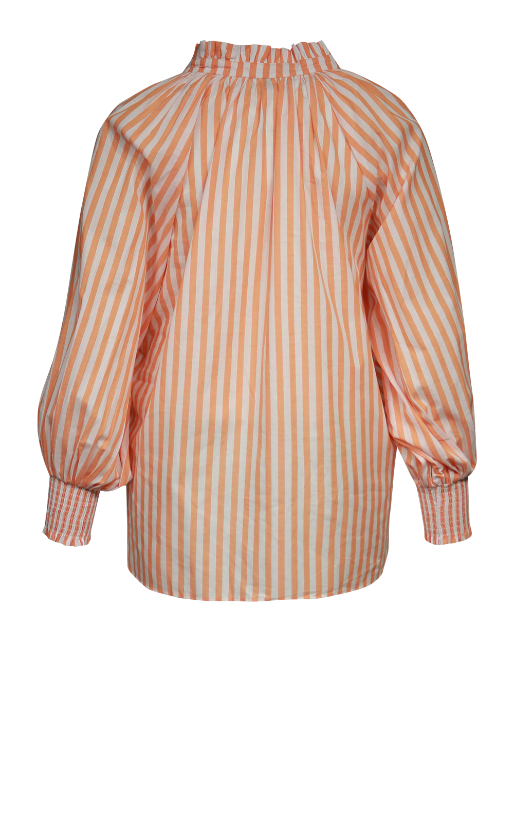 Striped Shirt product photo.