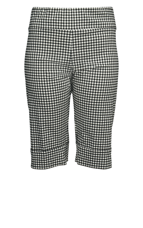 Long Gingham Short product photo.