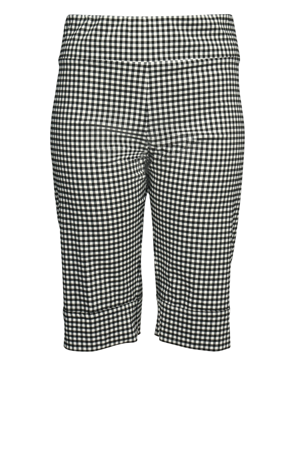 Long Gingham Short product photo.