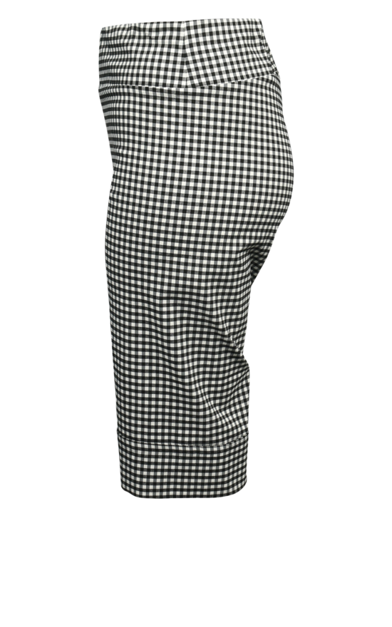 Long Gingham Short product photo.