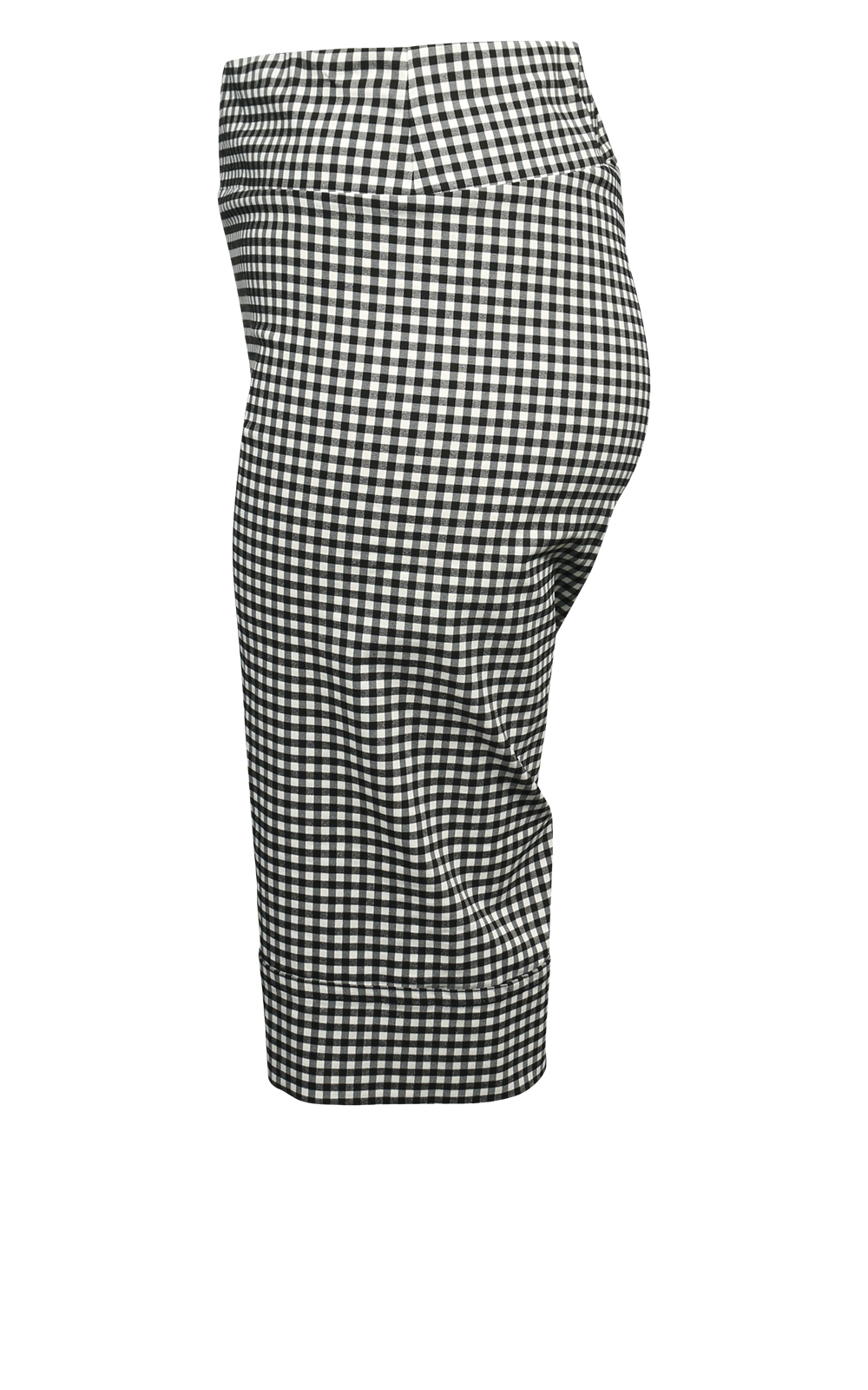 Long Gingham Short product photo.